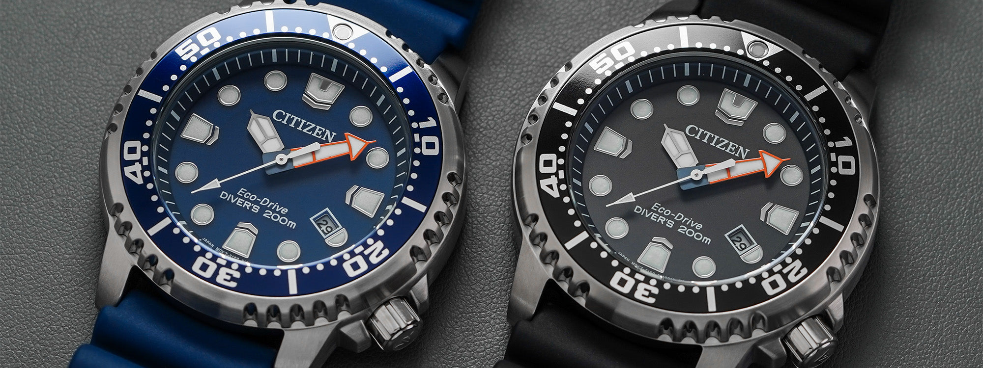 Citizen Dive Watches Guide