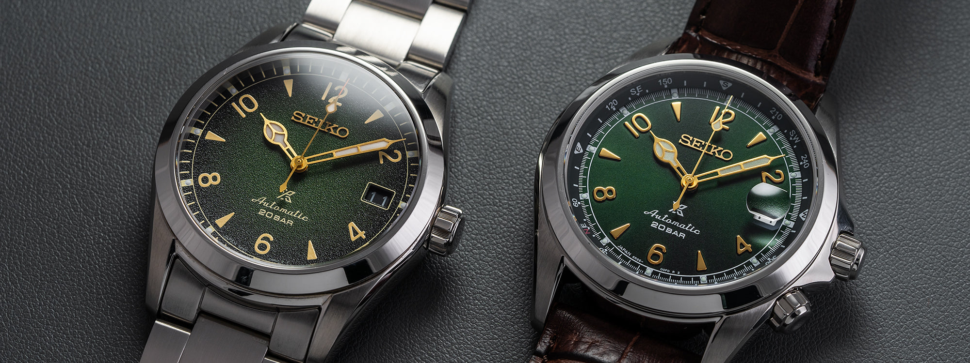 Seiko Alpinist Guide