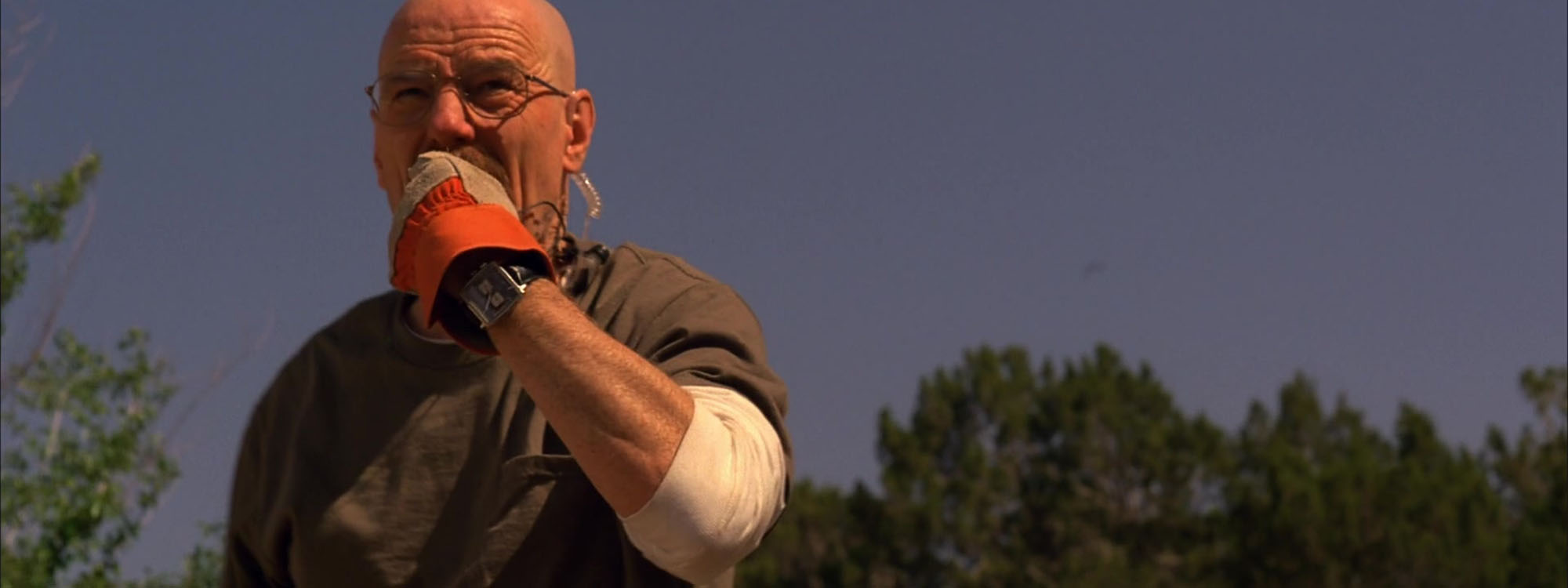 The Story of the Walter White Watch, from "Breaking Bad" to "Better Call Saul"