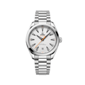 Seamaster Aqua Terra 41mm - Silver on Bracelet