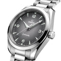 Seamaster Railmaster 38mm - Grey on Bracelet