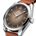 Seamaster Railmaster 38mm - Brown on Leather Strap