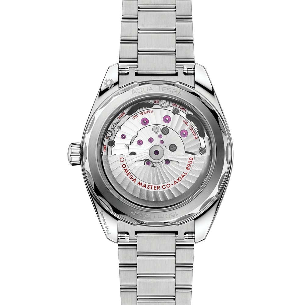 Seamaster Aqua Terra 41mm - Silver on Bracelet