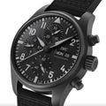 Pilot