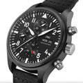 Pilot