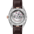 Seamaster Aqua Terra 41mm - Brown on Rubber Strap