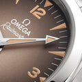 Seamaster Railmaster 38mm - Brown on Bracelet