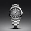 Seamaster Railmaster 38mm - Grey on Bracelet
