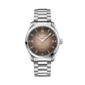 Seamaster Railmaster 38mm - Brown on Bracelet