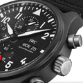 Pilot