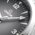 Seamaster Railmaster 38mm - Grey on Bracelet