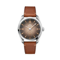 Seamaster Railmaster 38mm - Brown on Leather Strap