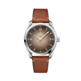 Seamaster Railmaster 38mm - Brown on Leather Strap