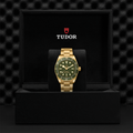 Black Bay 58 18K Yellow-Gold 39mm - Green on Bracelet