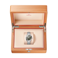 Seamaster Aqua Terra 38mm - Green on Bracelet