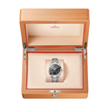 Seamaster Aqua Terra 41mm - Black on Bracelet