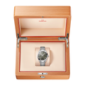 Seamaster Aqua Terra 41mm - Green on Bracelet