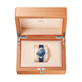 Seamaster Aqua Terra 150M 41mm - Blue on Rubber Strap