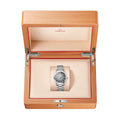 Seamaster Railmaster 38mm - Grey on Bracelet