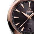 Seamaster Aqua Terra 41mm - Brown on Rubber Strap