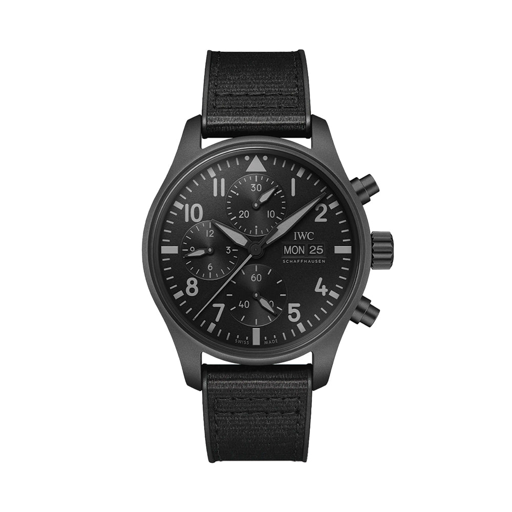 Pilot