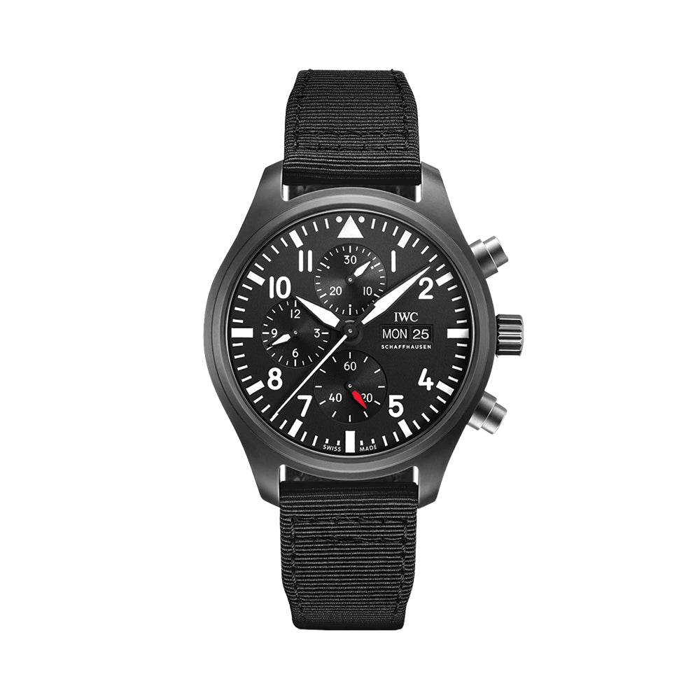 Pilot