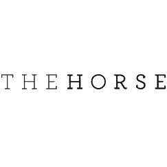 The Horse