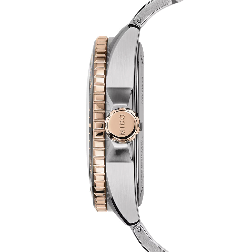 Ocean Star GMT Two-Tone 44mm - Black on Bracelet