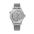 Seamaster Diver 300M Co-Axial Master Chronometer Titanium Bezel 42mm - Grey on Bracelet