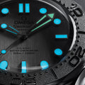 Seamaster Diver 300M Titanium Bezel 42mm - Grey on Rubber Strap