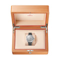Seamaster Diver 300M Titanium Bezel 42mm - Grey on Rubber Strap