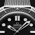 Seamaster Diver 300M 