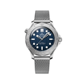 Seamaster Diver 300M 