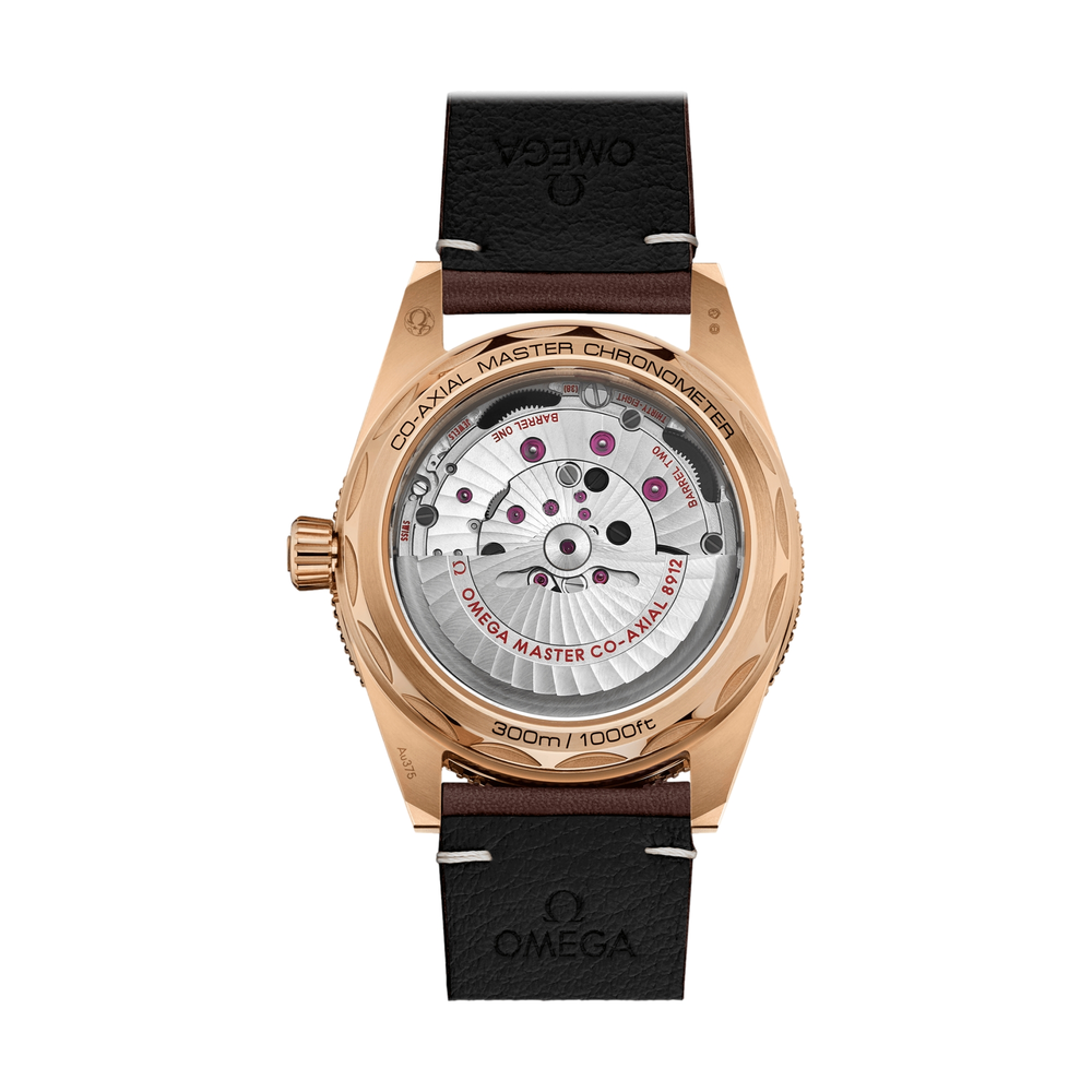 Seamaster 300 Bronze Gold 41mm - Brown on Leather Strap